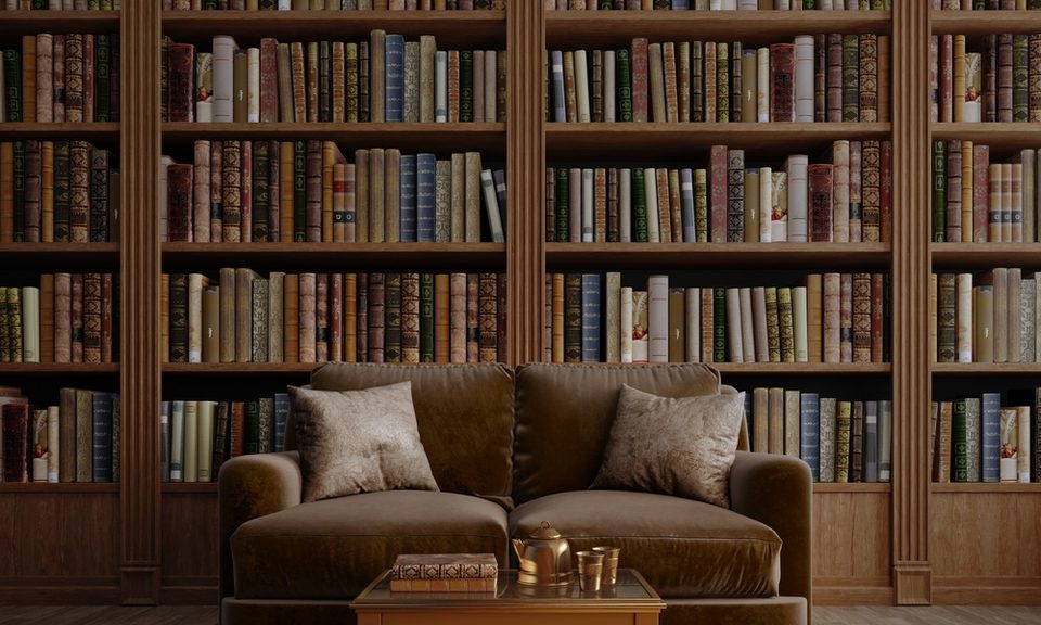 Furniture, Couch, Bookcase