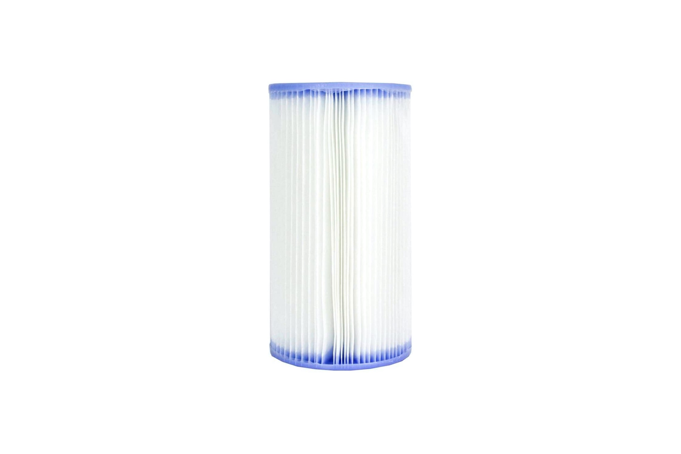 Intex Type A or C Replacement Filter Cartridge on white background