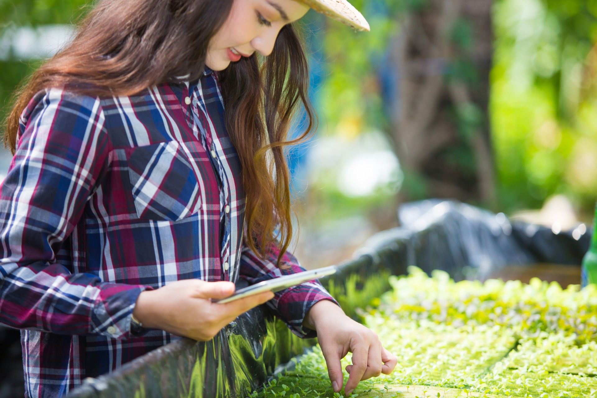 Young woman inspecting a hydroponic garden