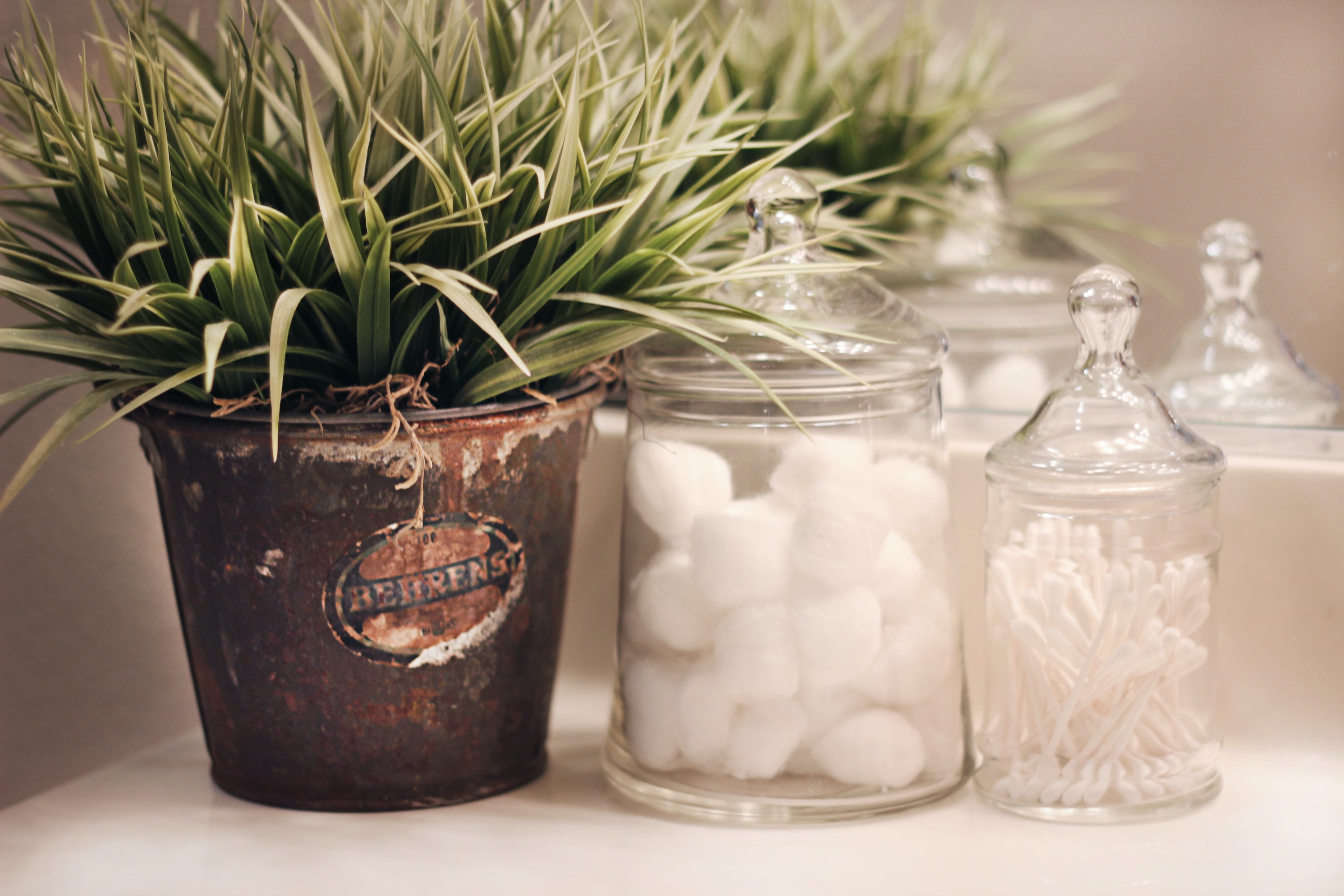Apothecary jars sit lined up on a bathroom counter beside a plant.