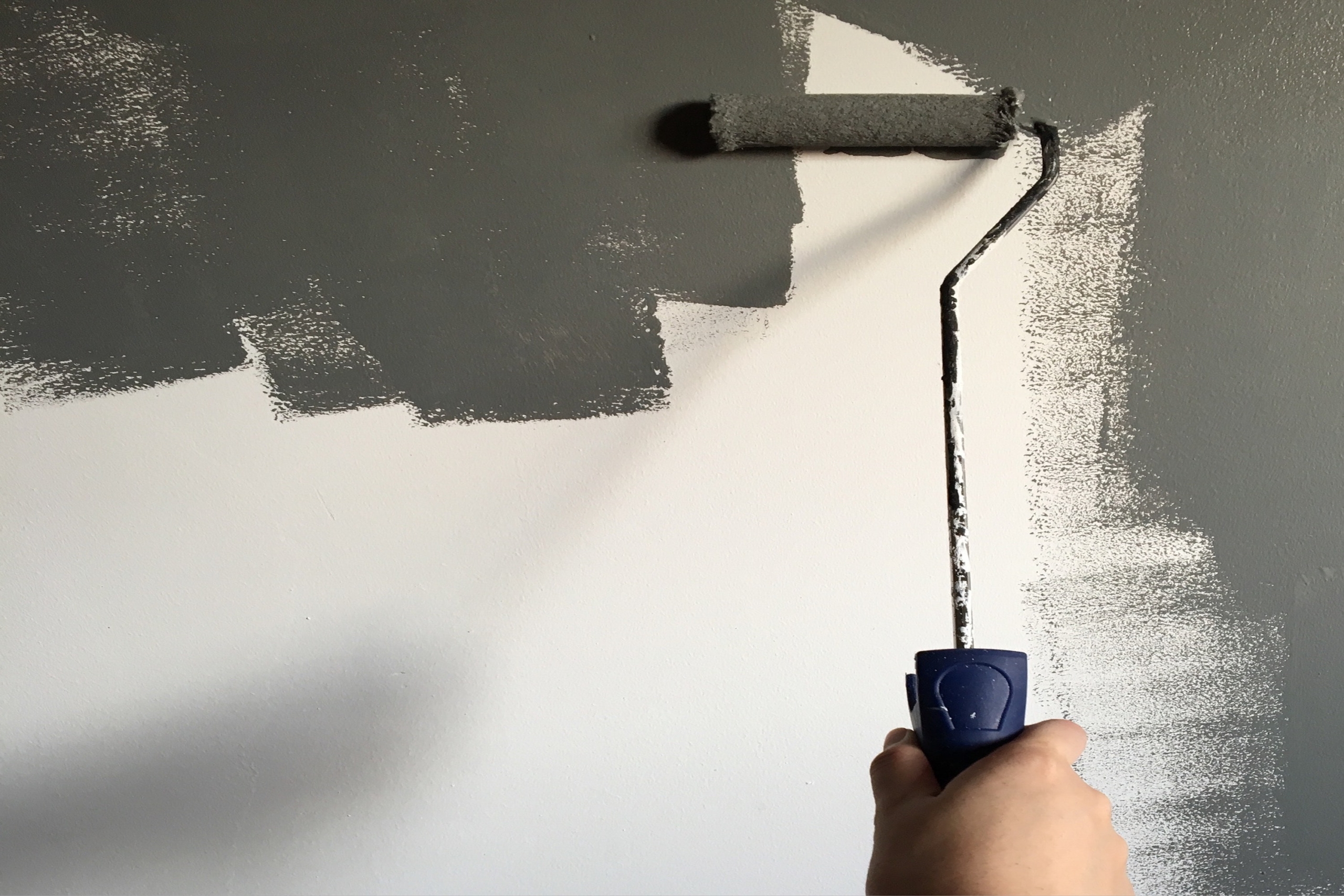 A light-skinned hand holds up a paint roller in front of a wall that is half grey, half white.
