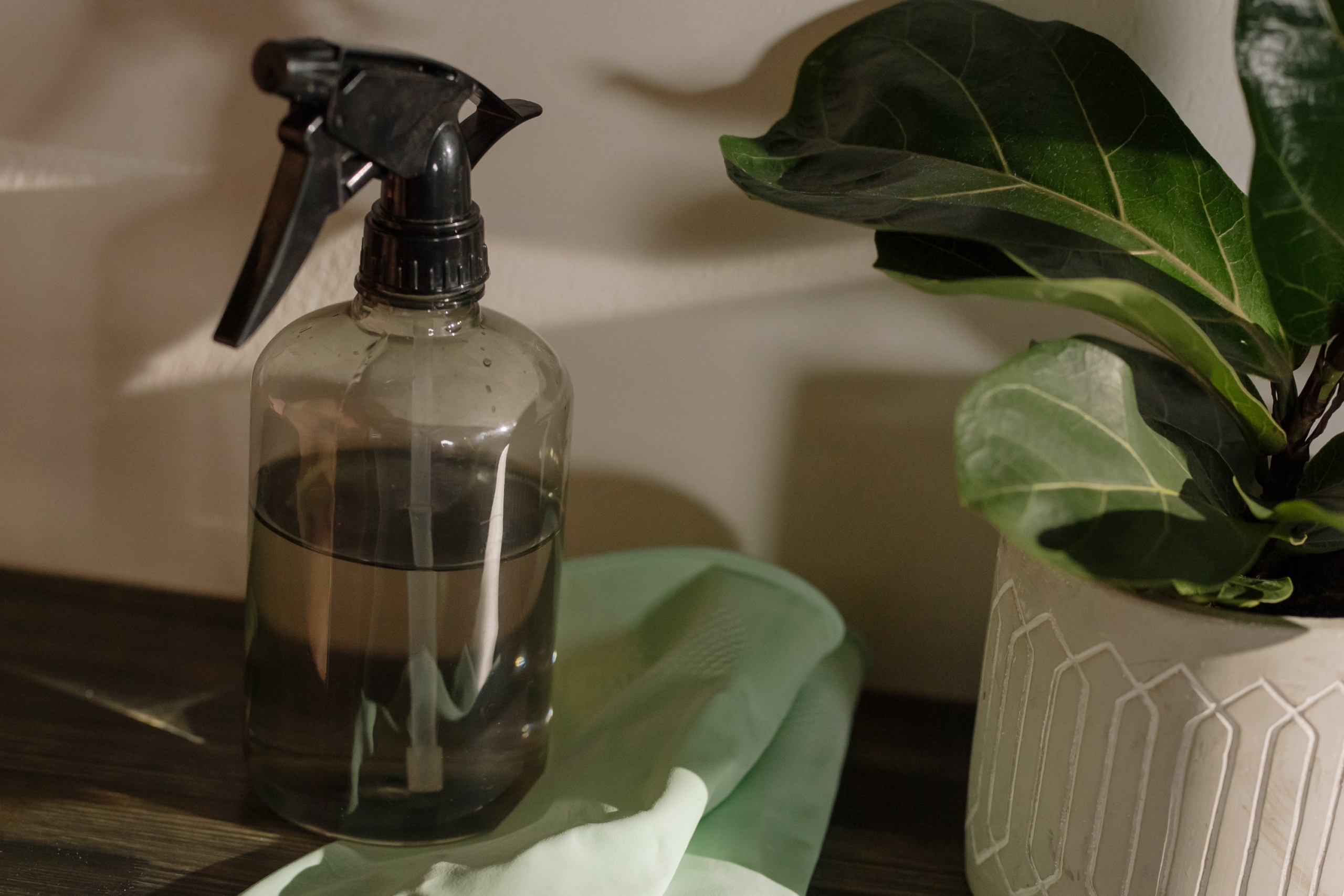 spray bottle for cleaning next to plant