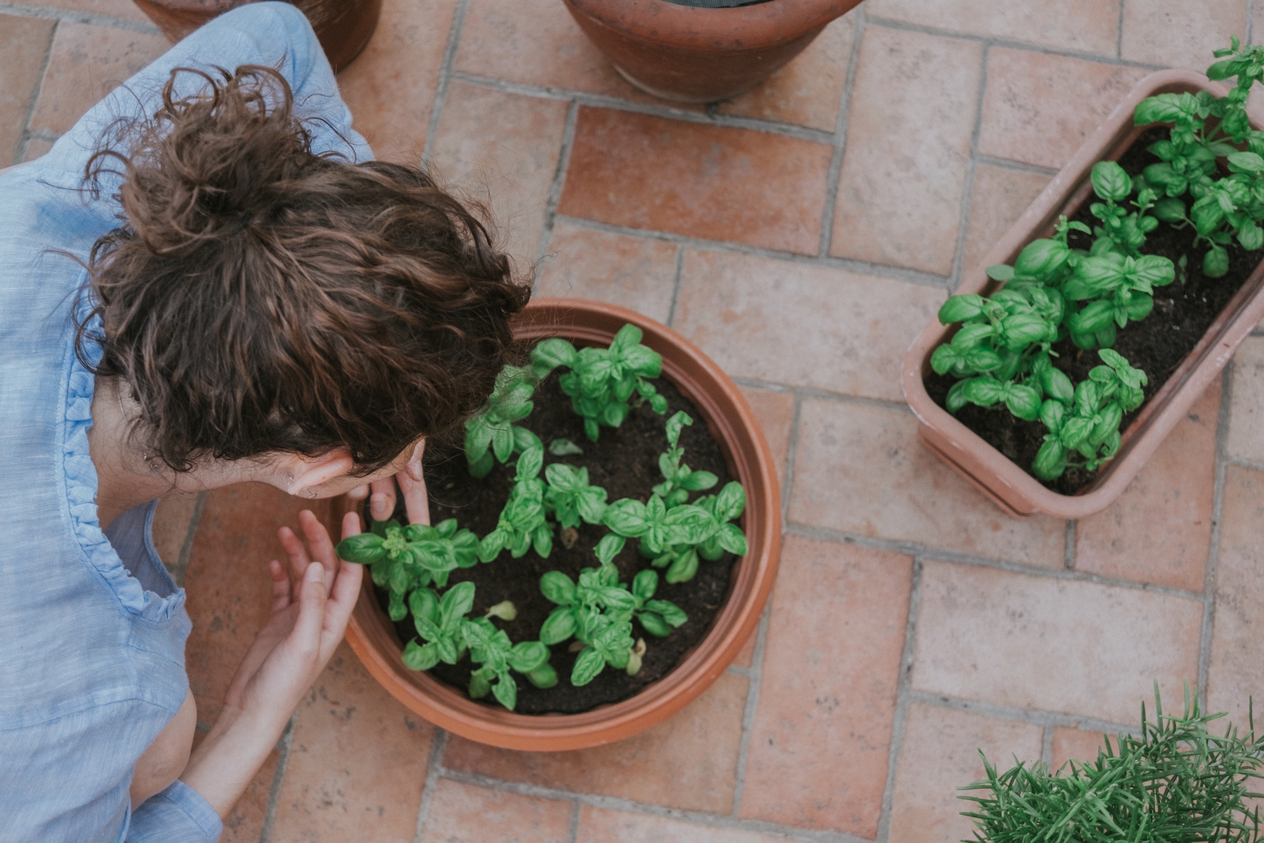brick patio with plants