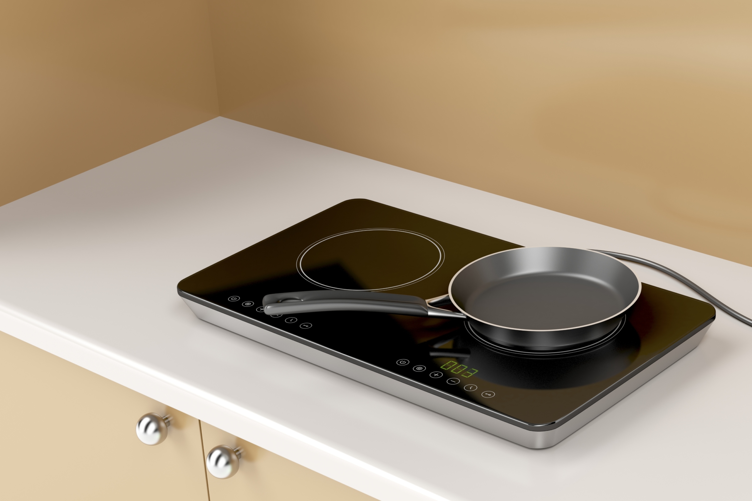 pan on portable cooktop on counter