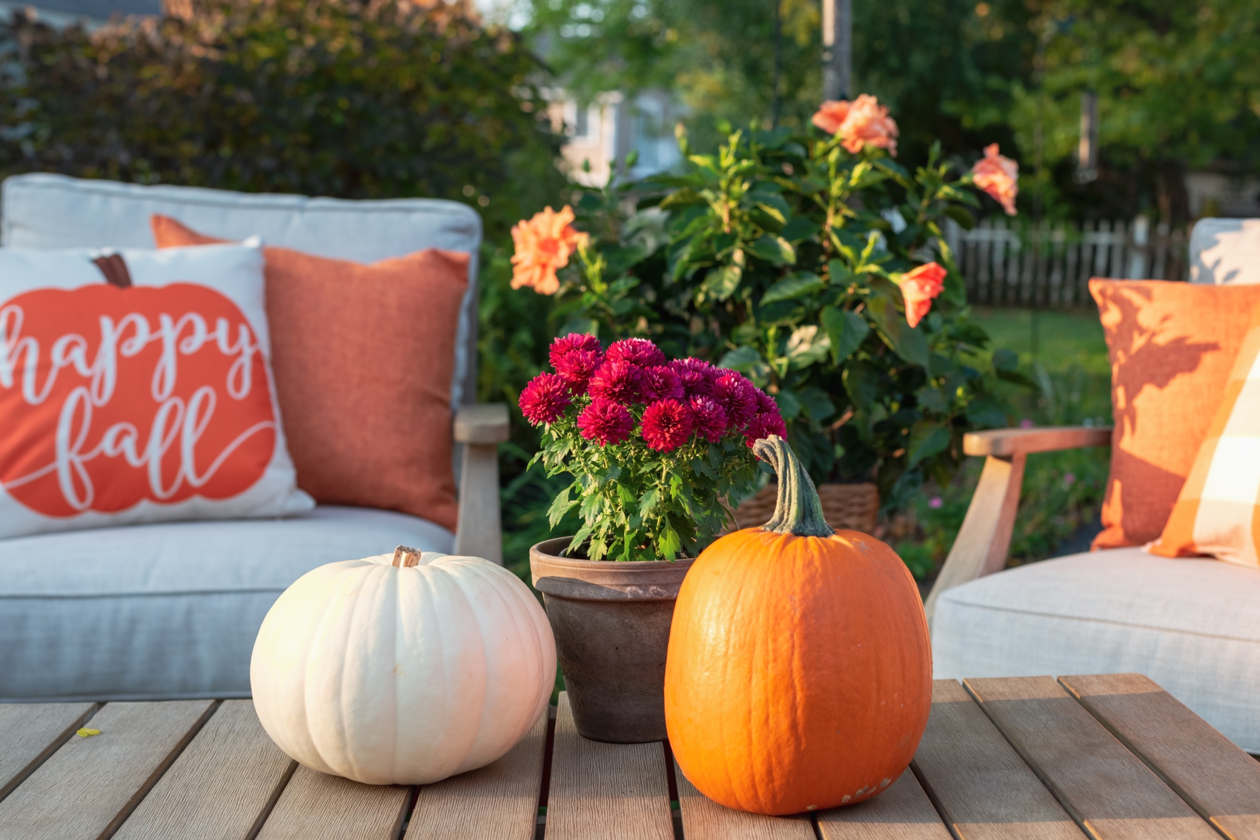 fall flowers and pumpkins on patio