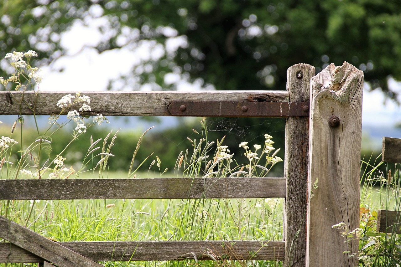 Wooden gate in a field with rusted metal hinge