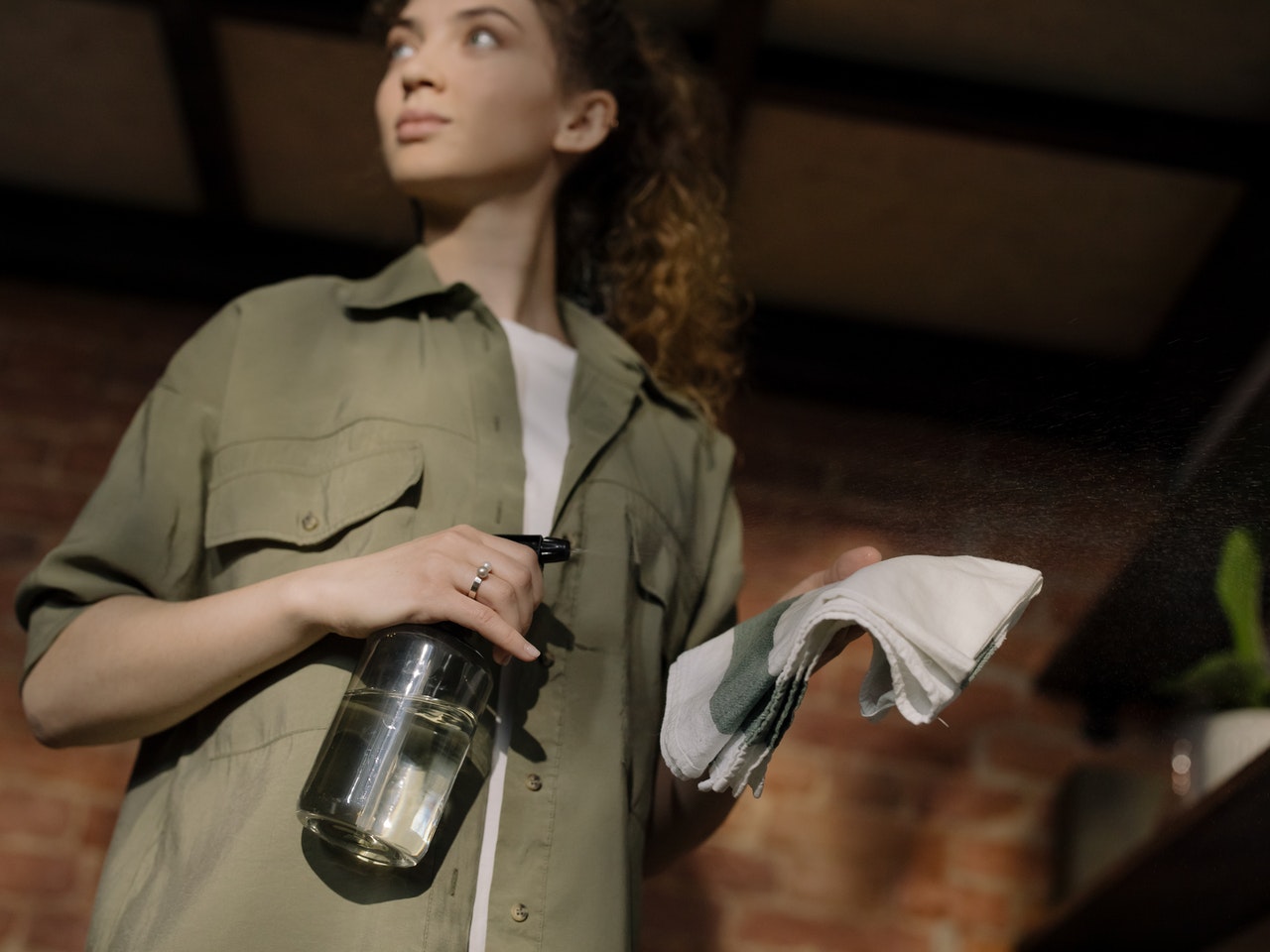 Woman holding spray cleaner and rag