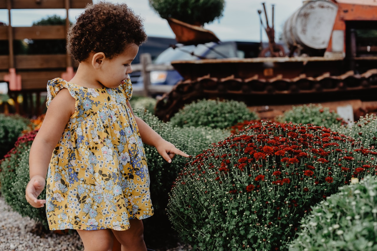 toddler in floral dress lightly touching green and red plants