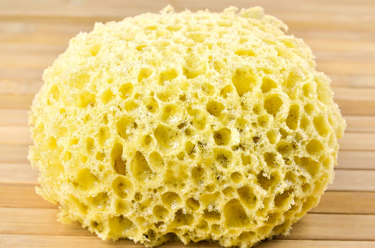 Round yellow sponge with wooden background