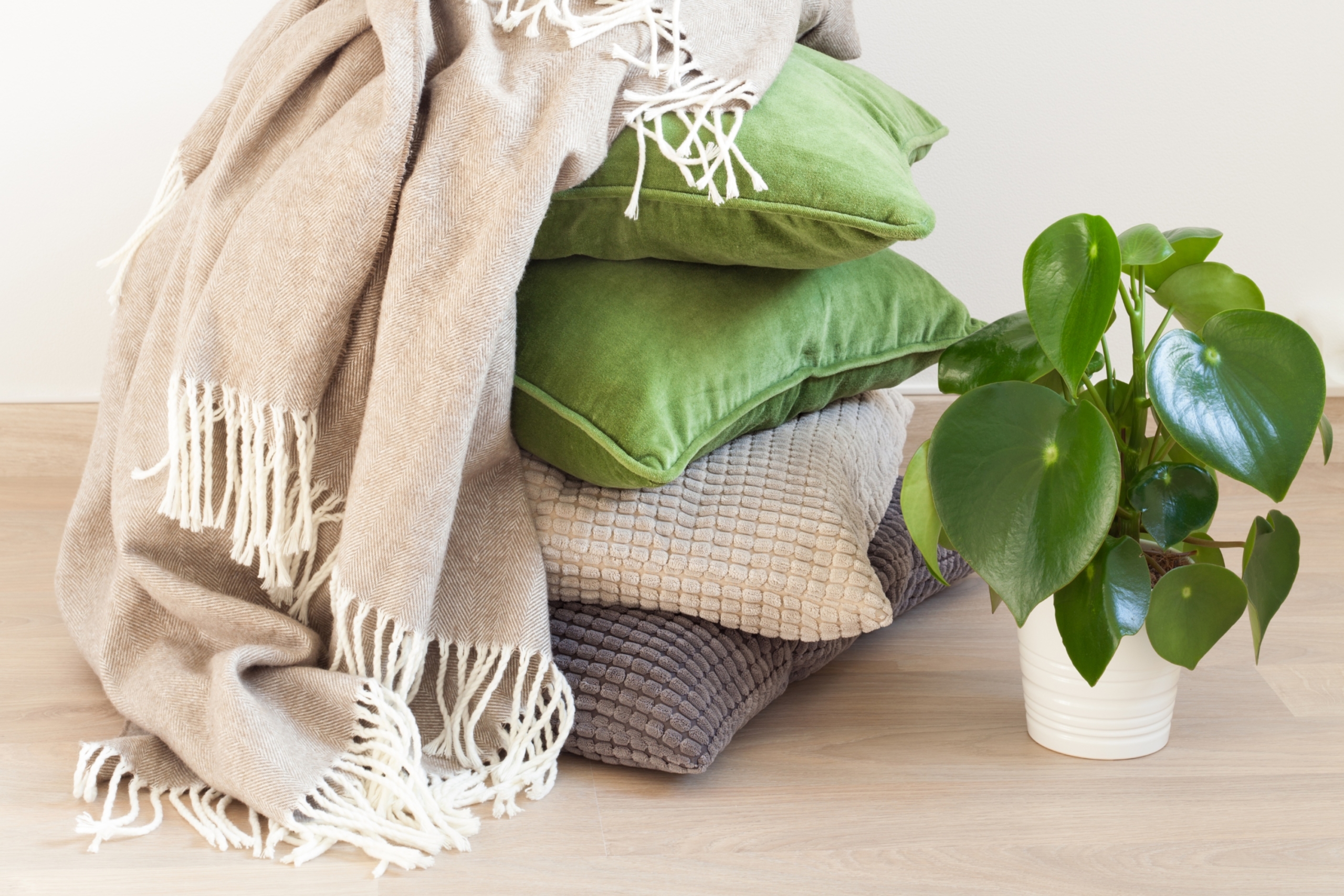 stack of pillows with tasseled blanket and plant
