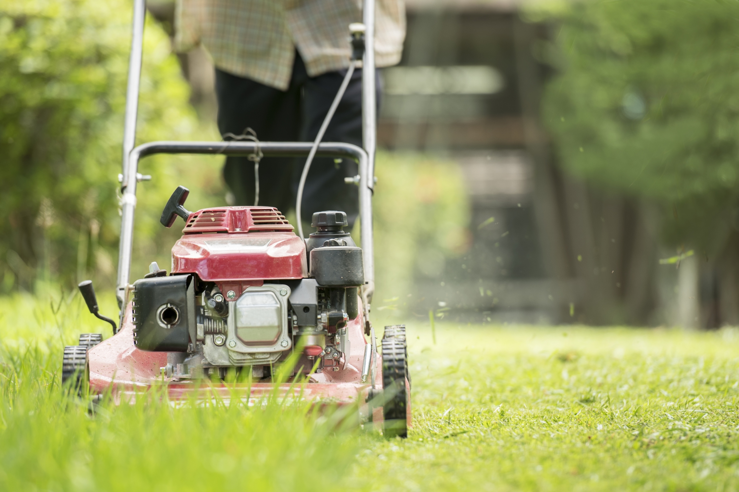 Lawn mower cutting grass