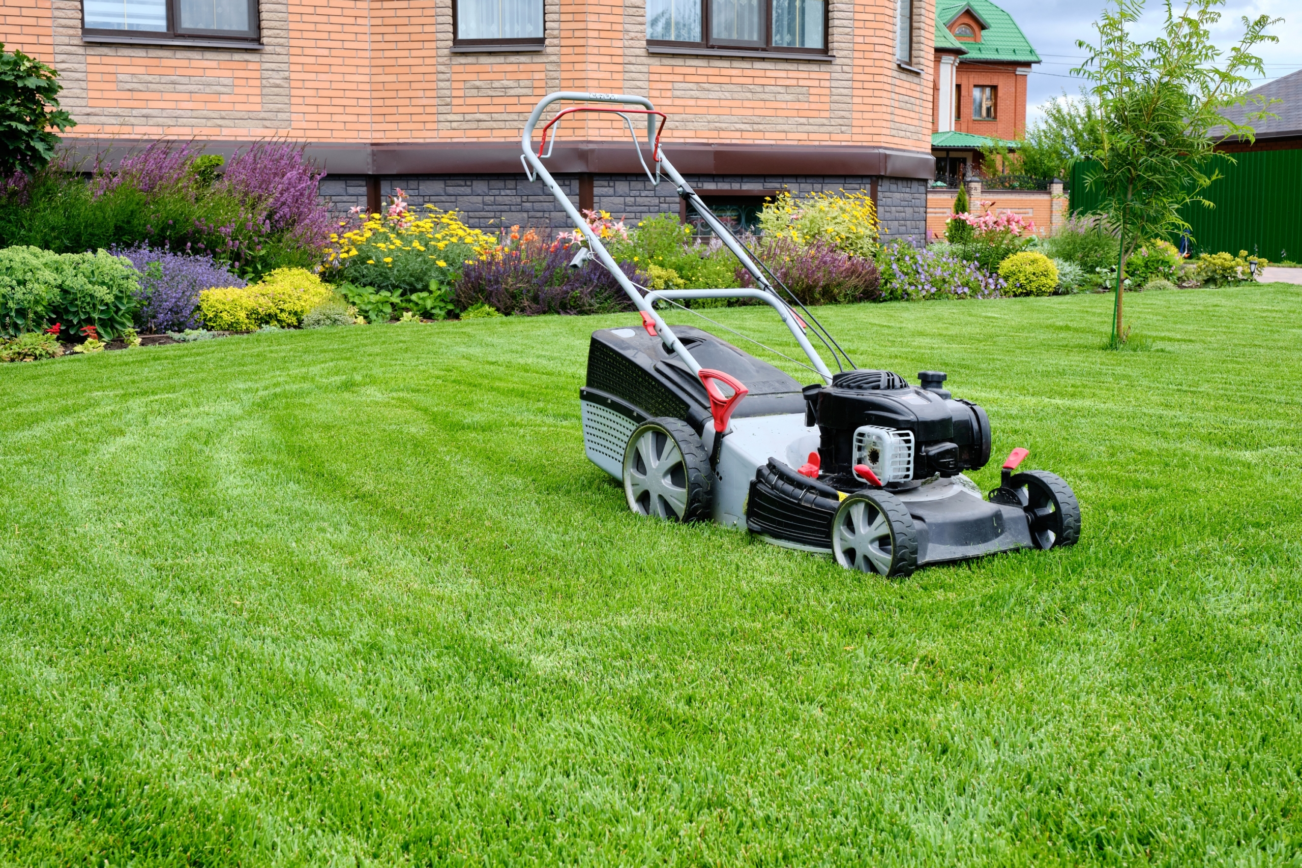 Lawnmower on cut grass in backyard