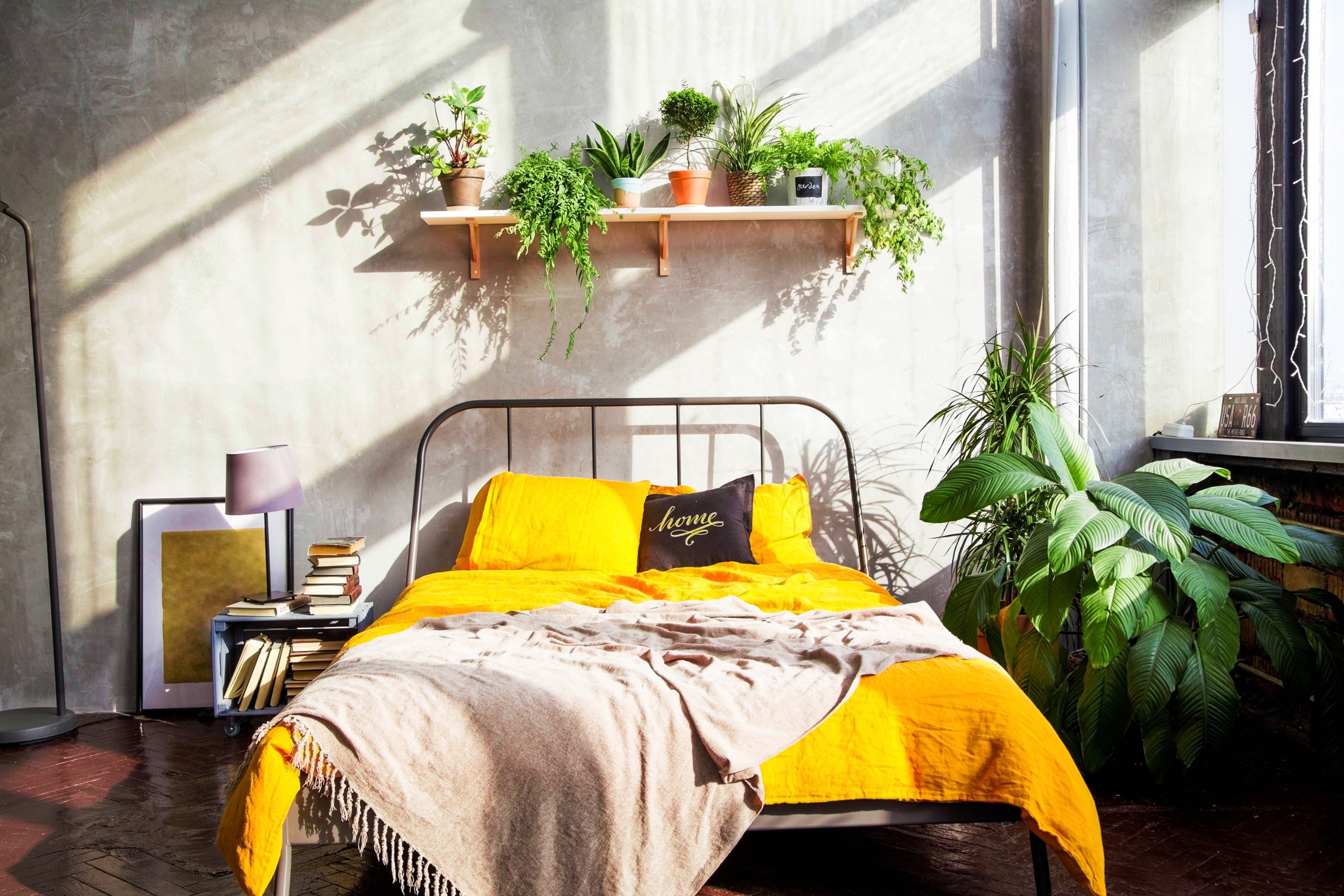 bedroom with indoor plants and lots of sunlight