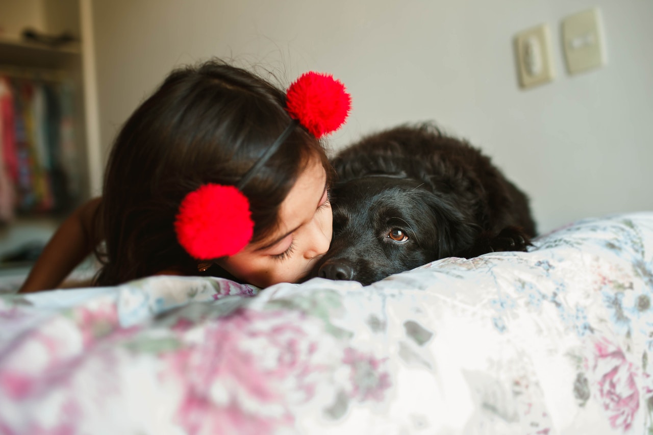 Little girl kissing dog on bed