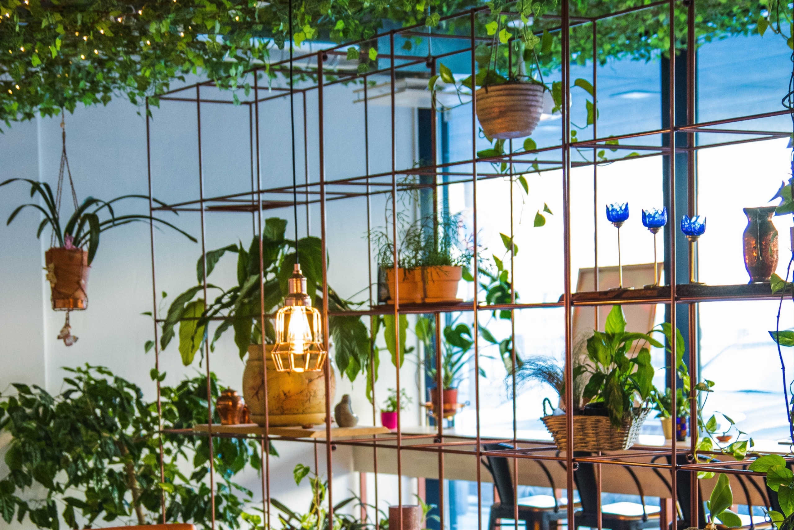 Vertical garden with plants on shelves