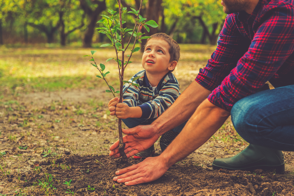 child planting tree