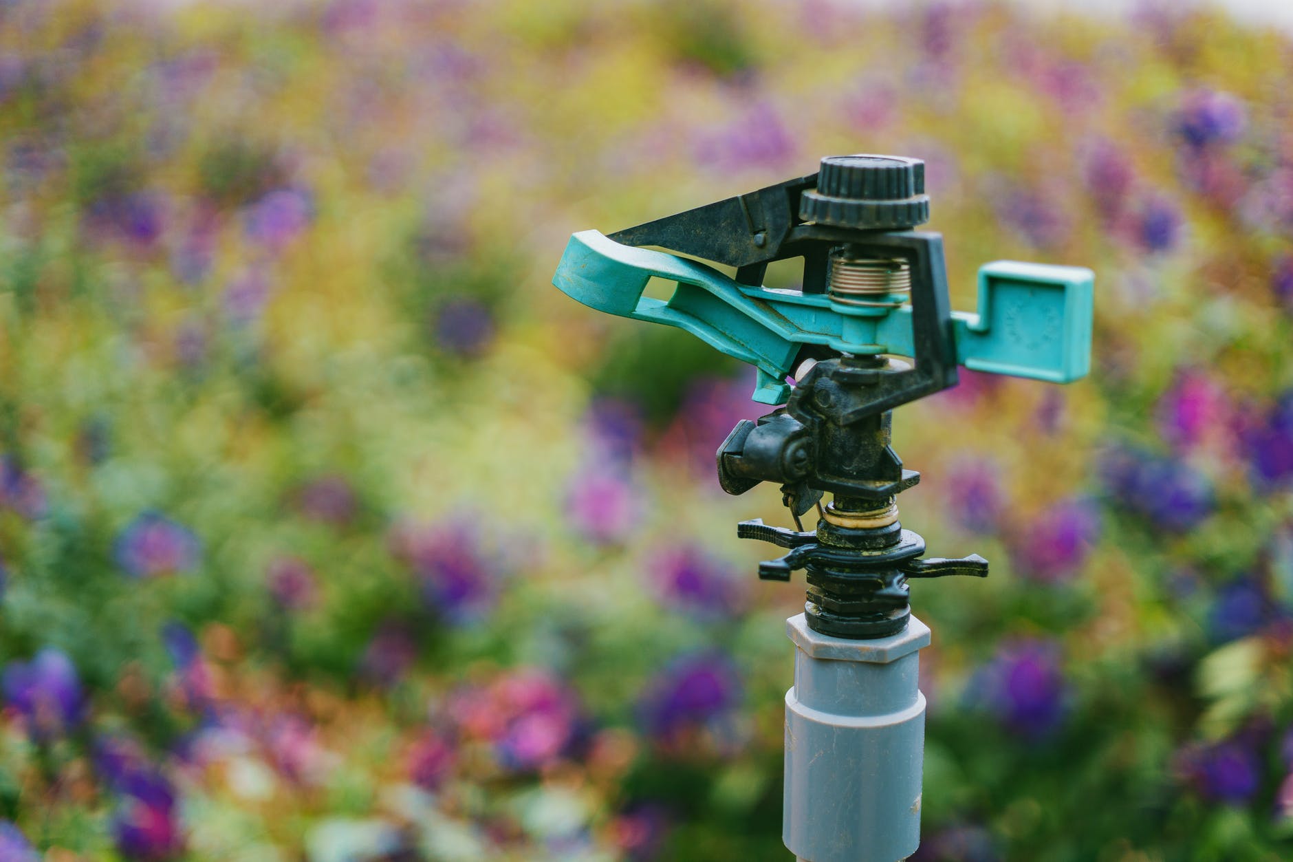 garden sprinkler