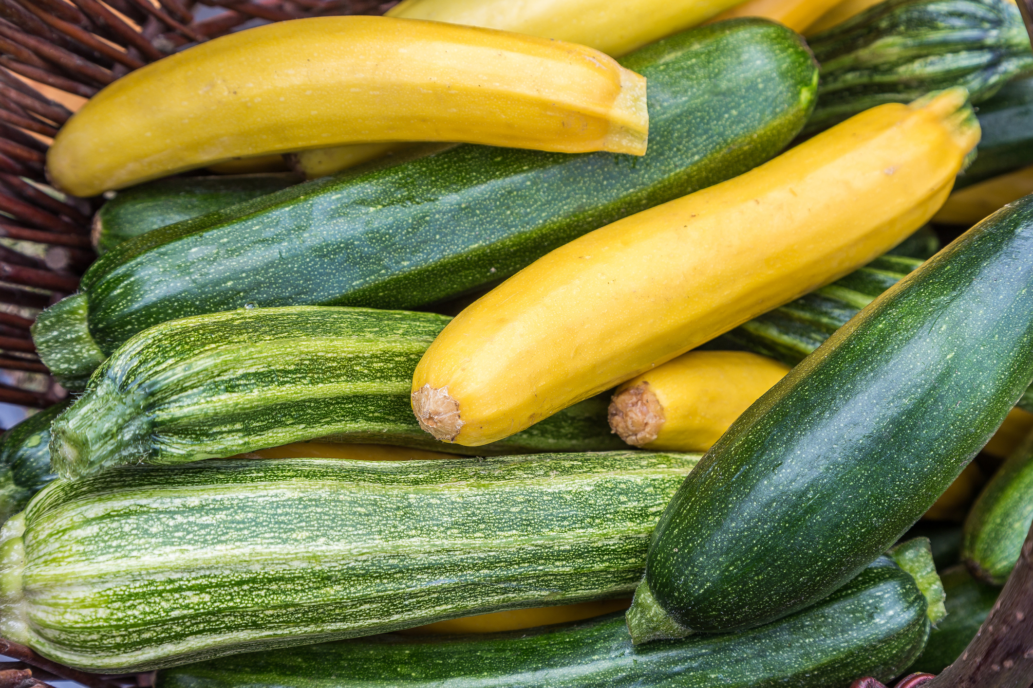 Multicolor zucchini arranged in a basket.