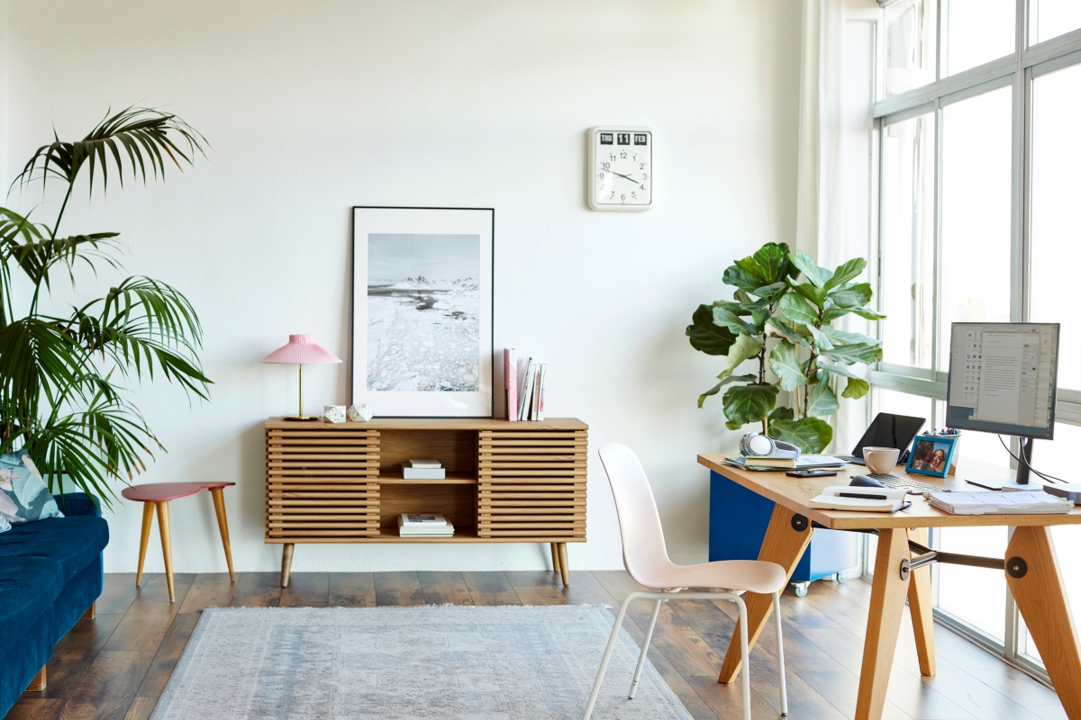 plants and large windows in office space