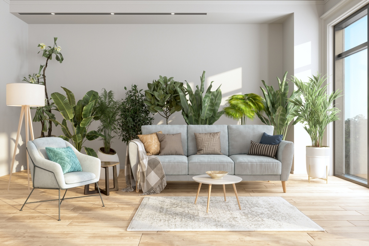 modern living room with lots of plants for decor