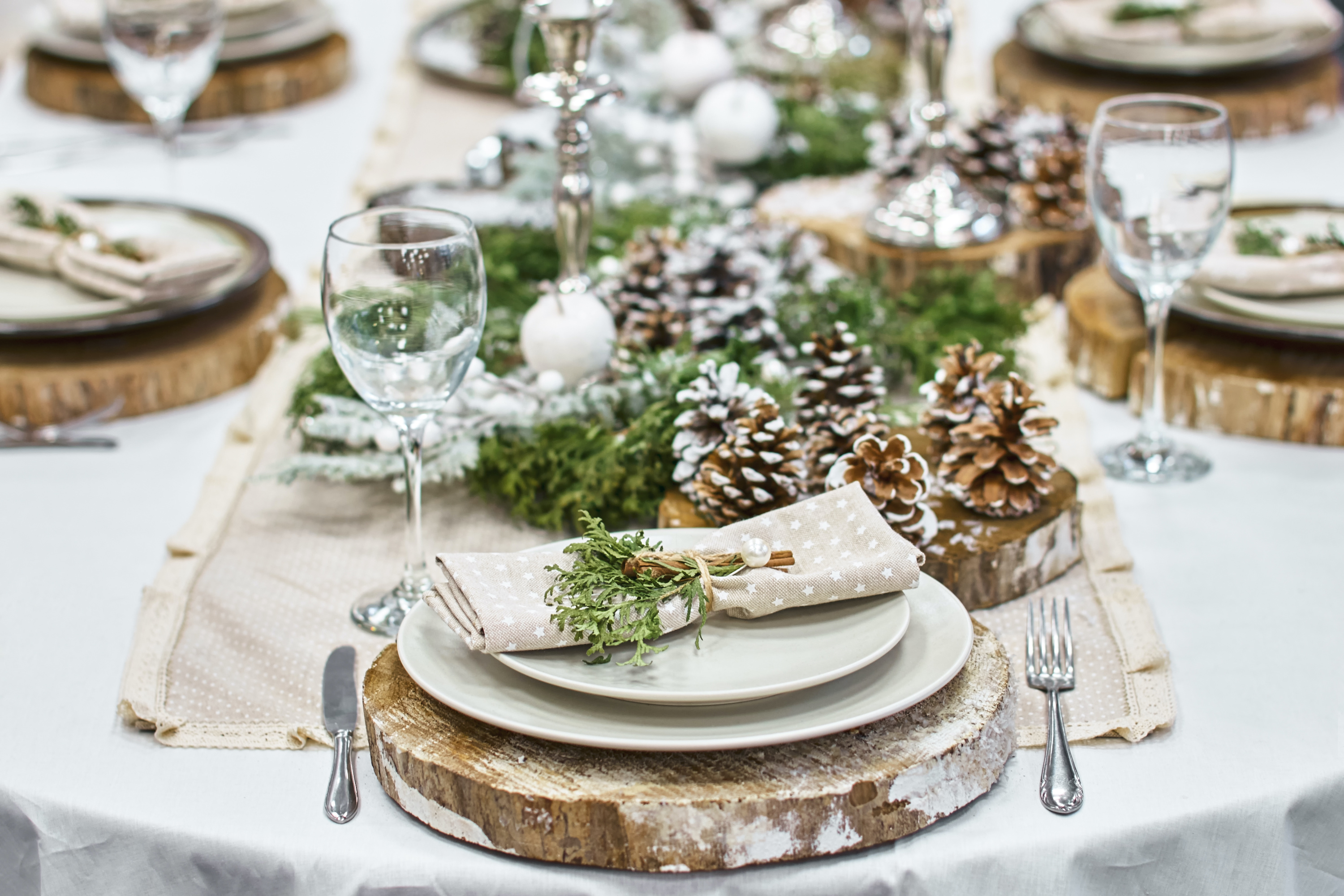 Table set with pine cones and pine branches