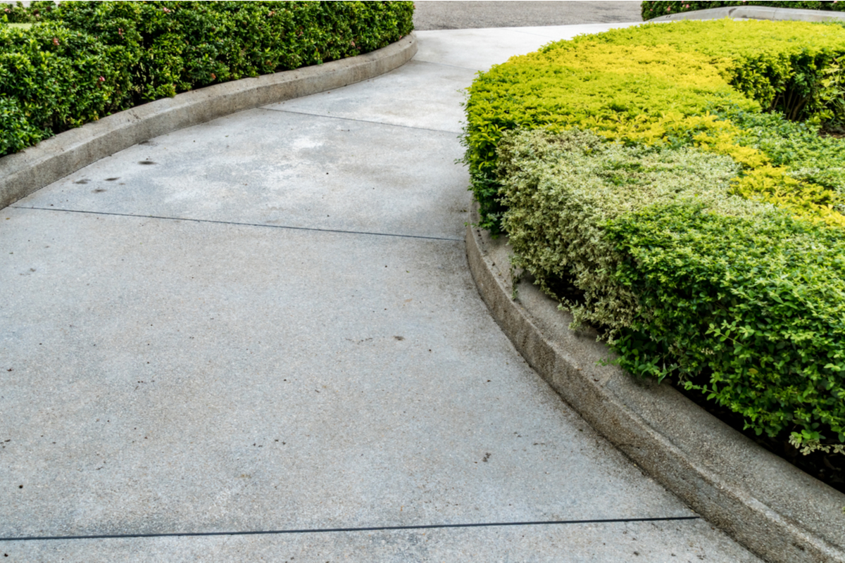 Curved concrete walkway surrounded by green bushes