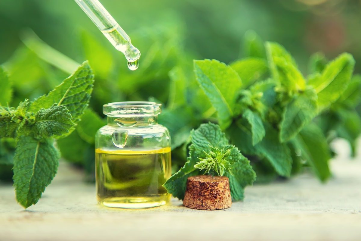 Peppermint essential oil in a small bottle with nature background