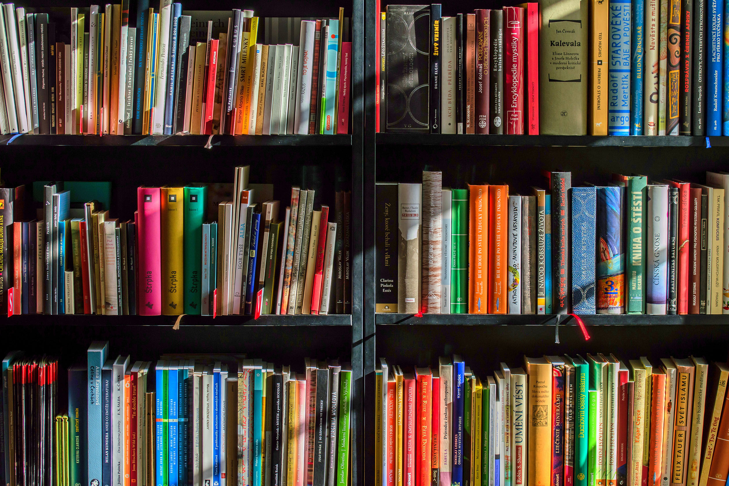 Full bookcase with colorful books