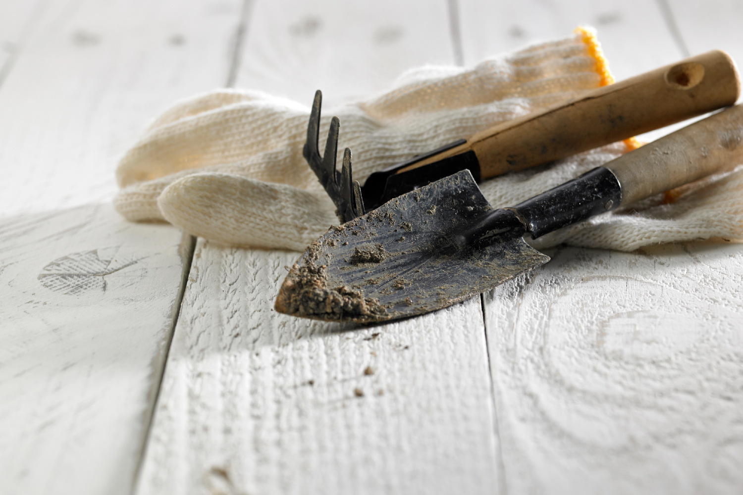 Dirty garden tools with glove on work bench.