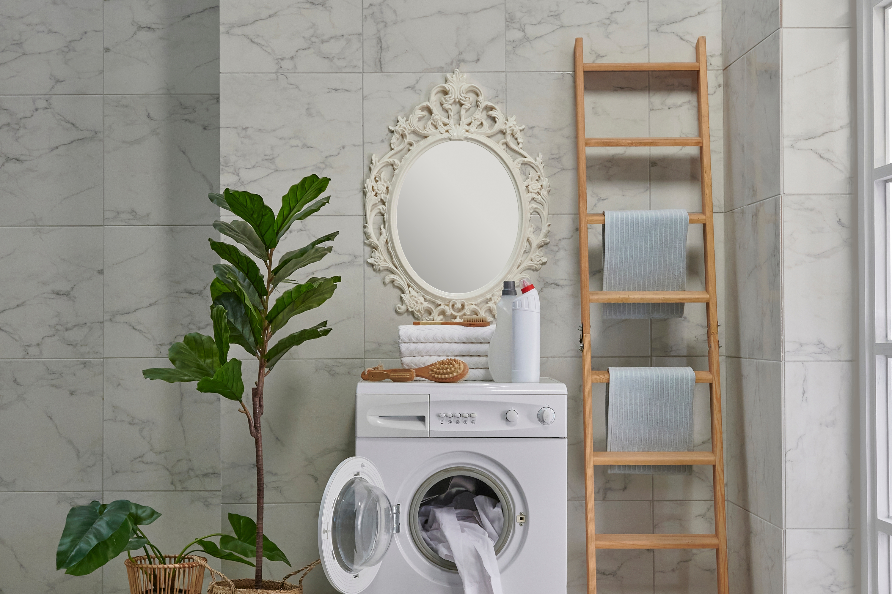 Laundry room with mirror and plant