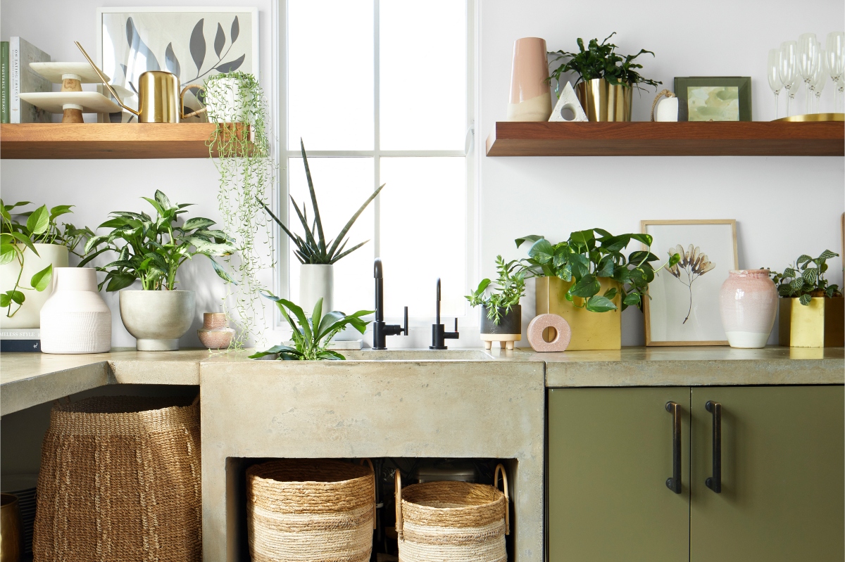plants on green cabinet for biophilic design by FLOR