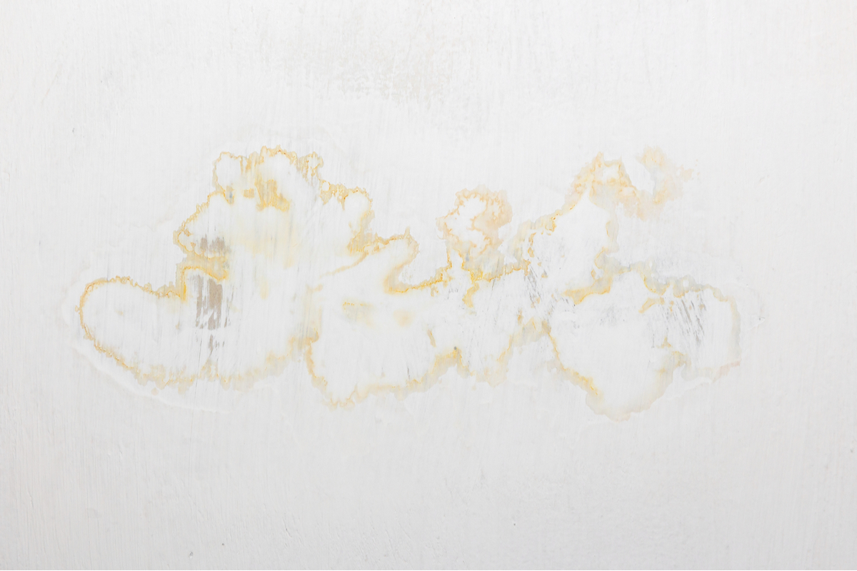 Water stain on the ceiling