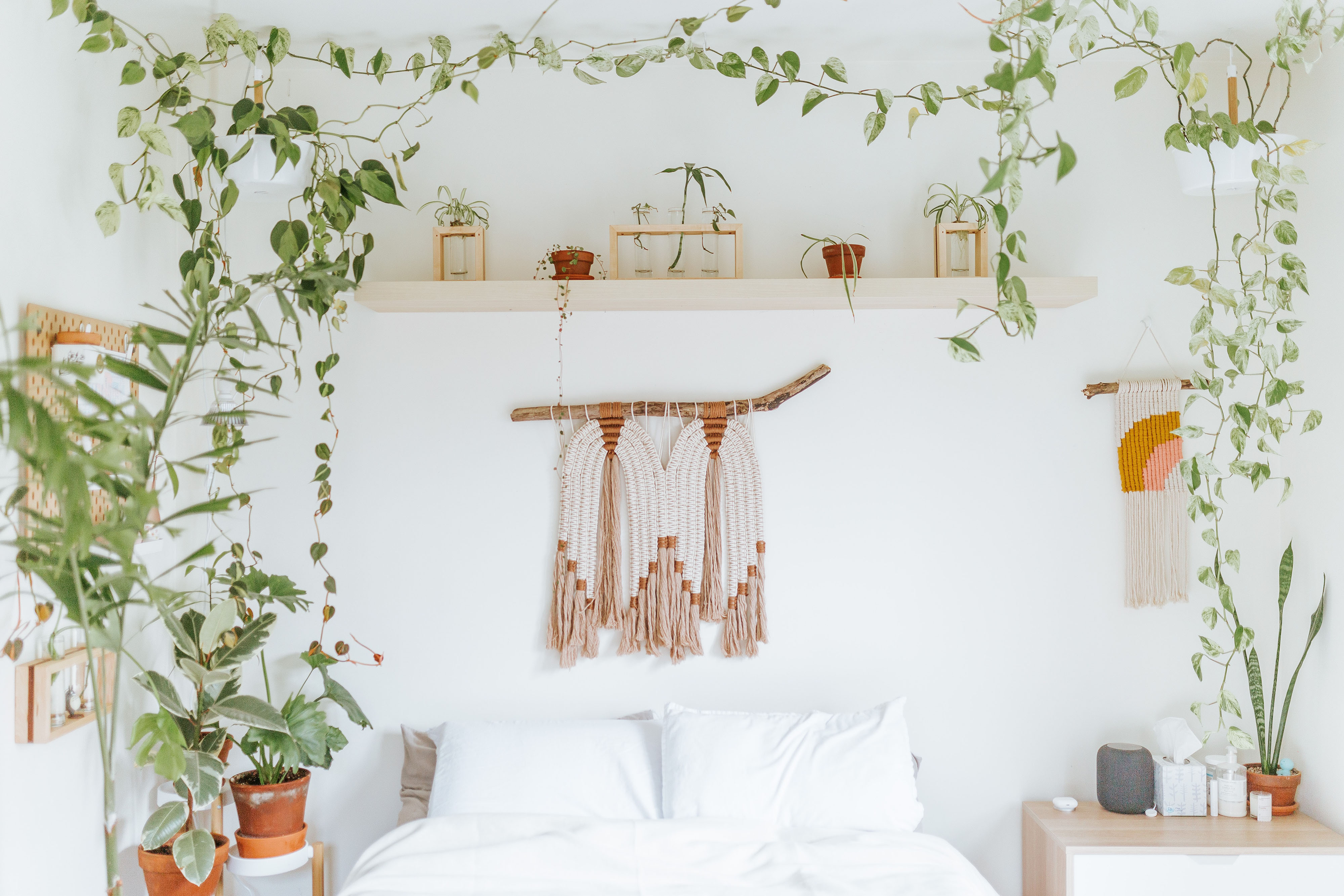 White bedroom with hanging vines and other plants