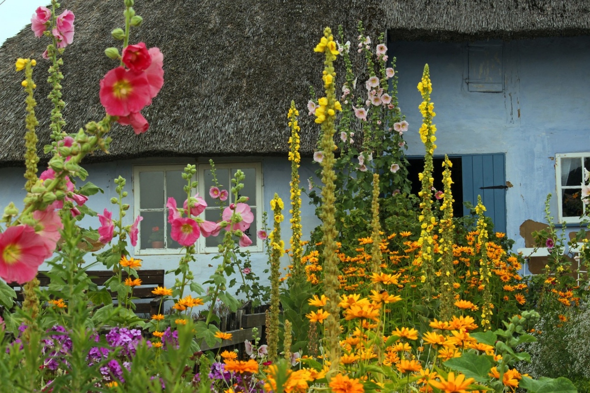 Small farmhouse with wildflowers in the foreground of a front yard