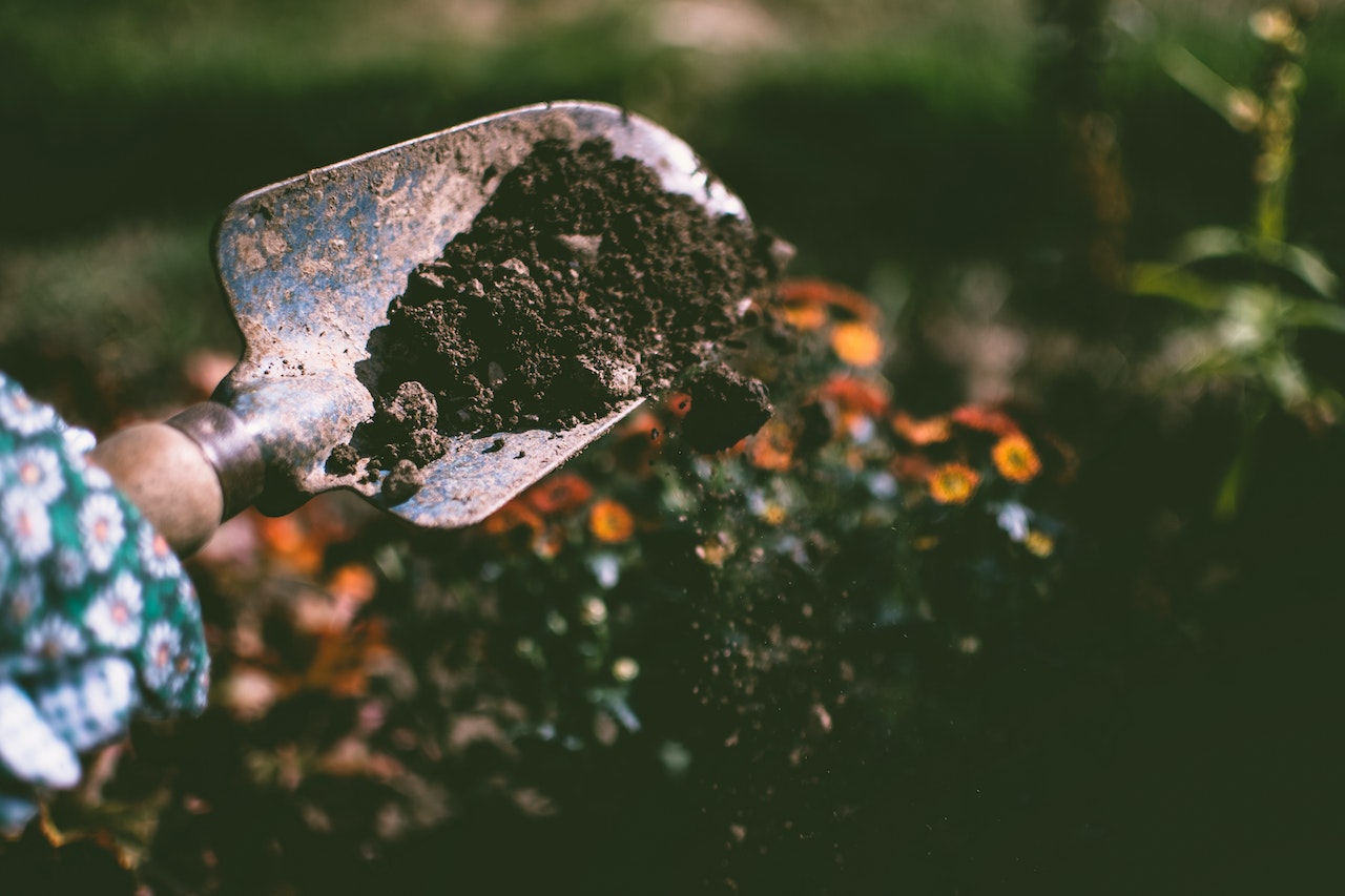 Person wearing gardening gloves digging soil with garden spade