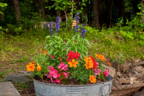 flower garden in an large pot