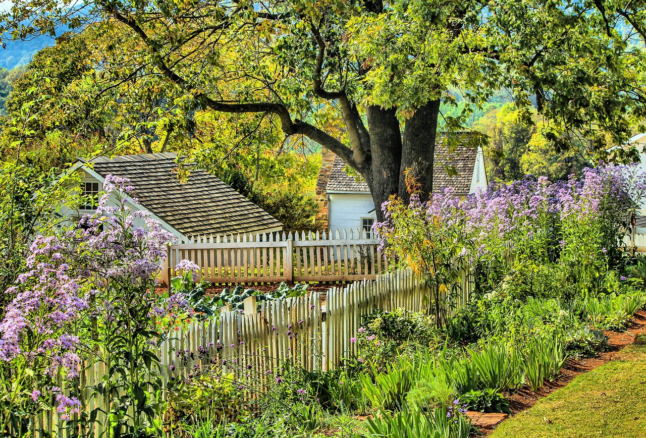 Country garden with a variety of ornamental grasses