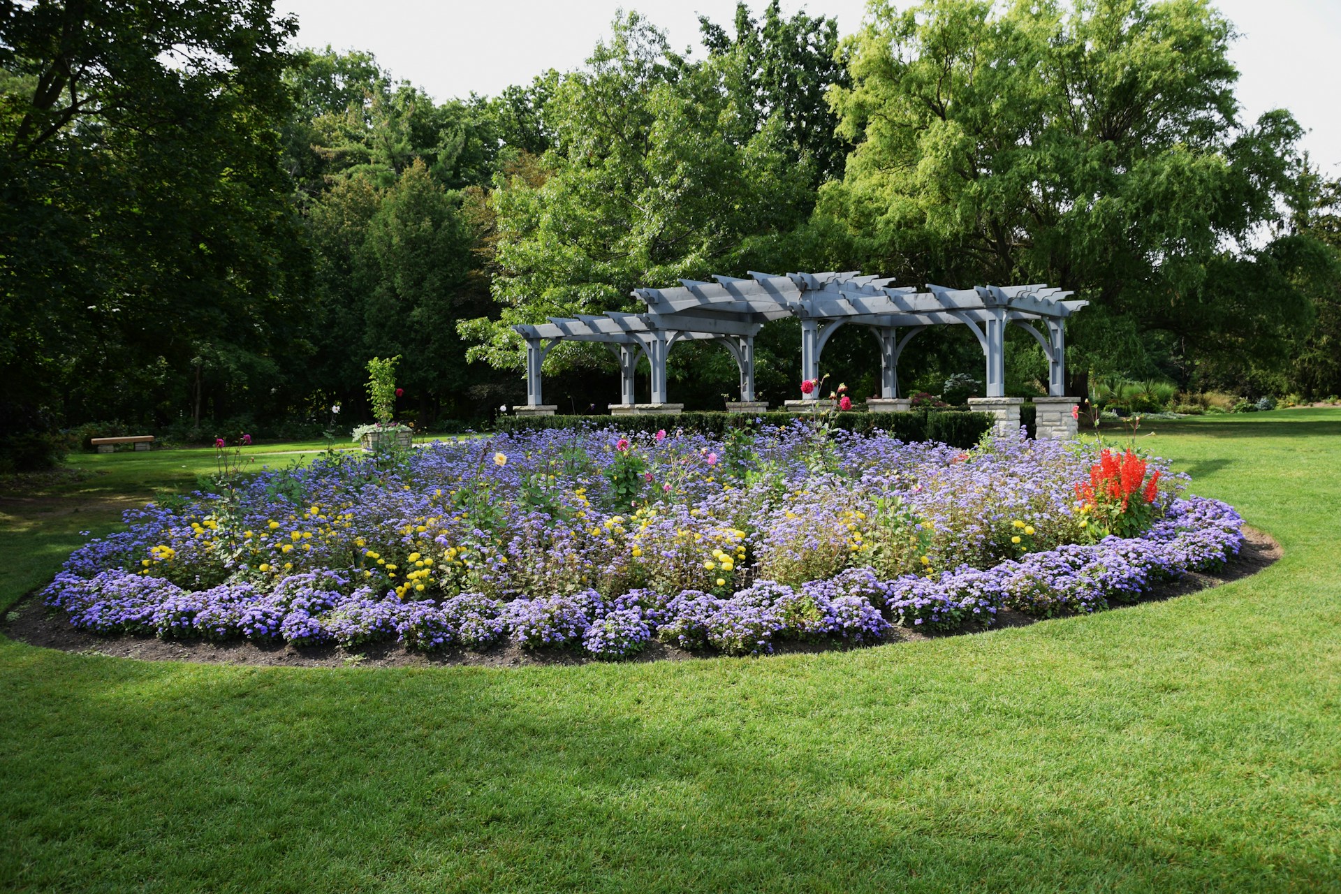 Round flower bed next to pergola in large yard