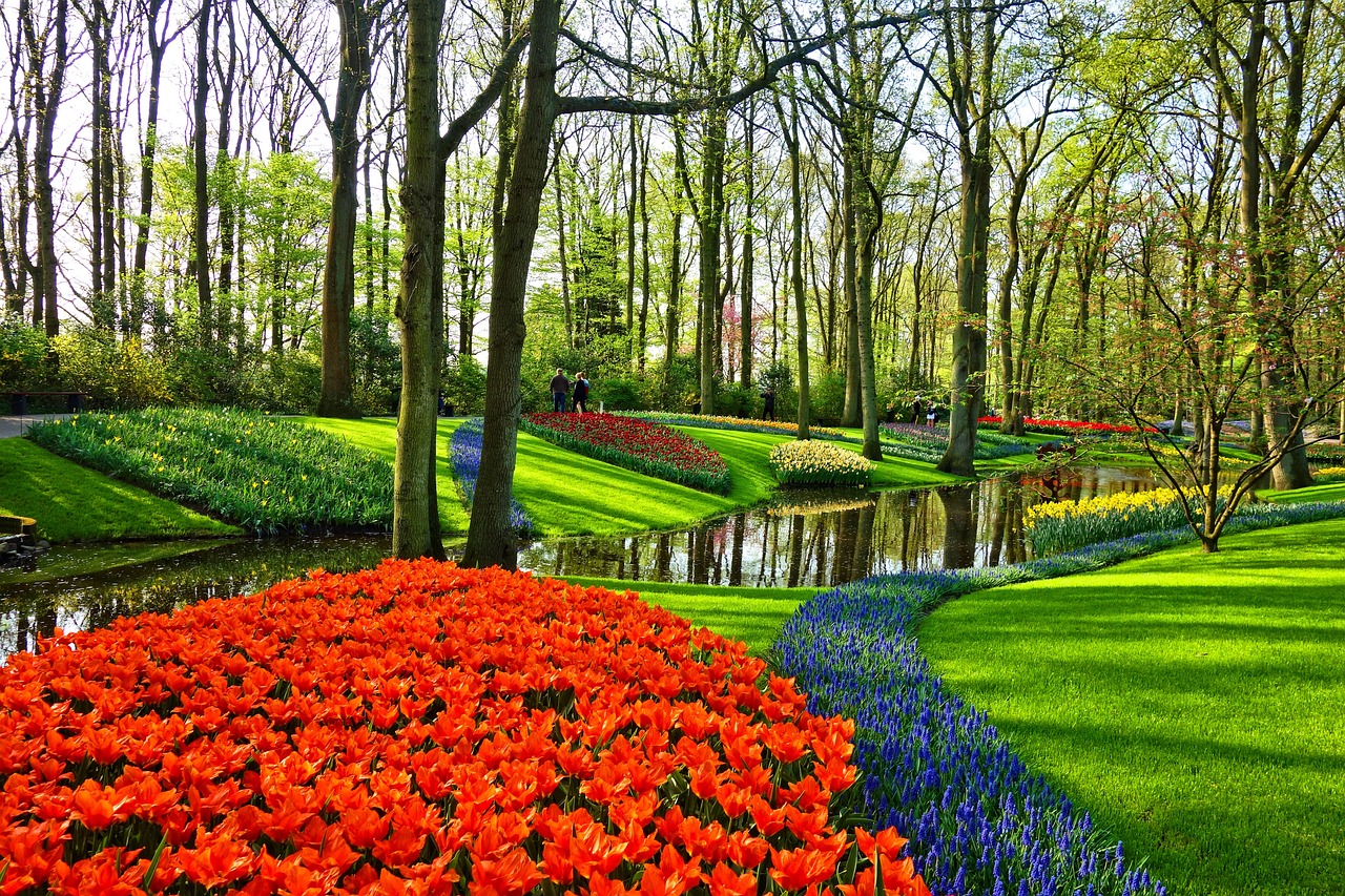 flower beds in wooded area on slope