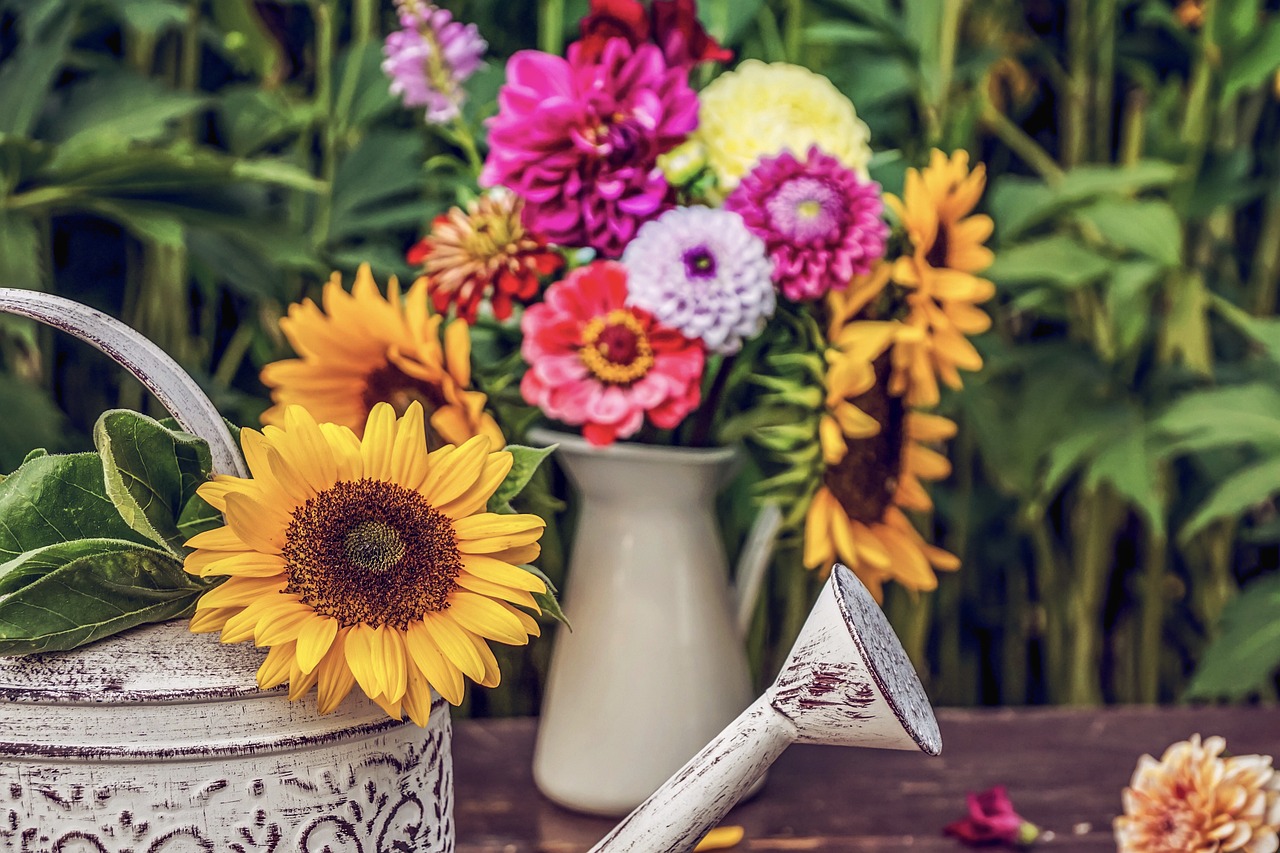 Chrysanthemums and other flowers in a watering can