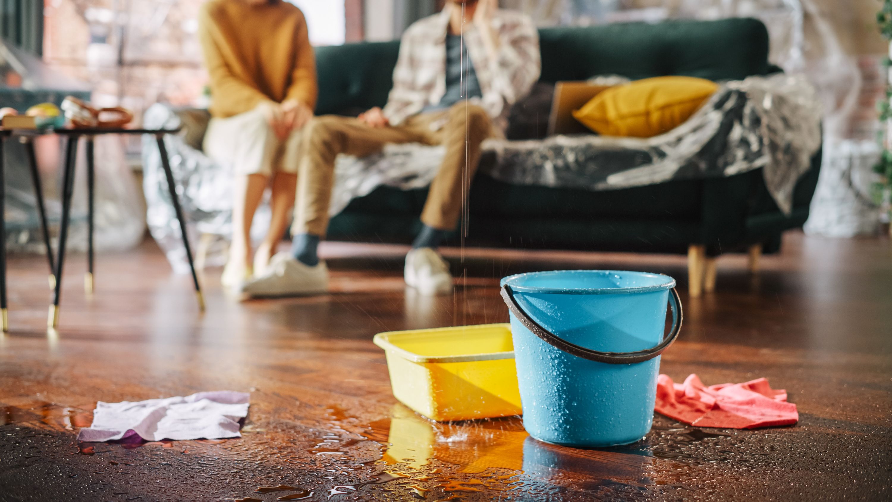 Couple sitting on couch covered in plastic with bucket catching roof leak. How to find a roof leak