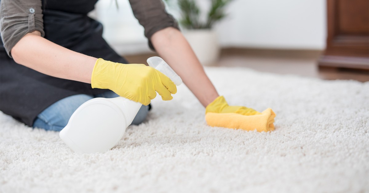 The Super Simple Guide To Deep Cleaning Gross Carpets 21Oak