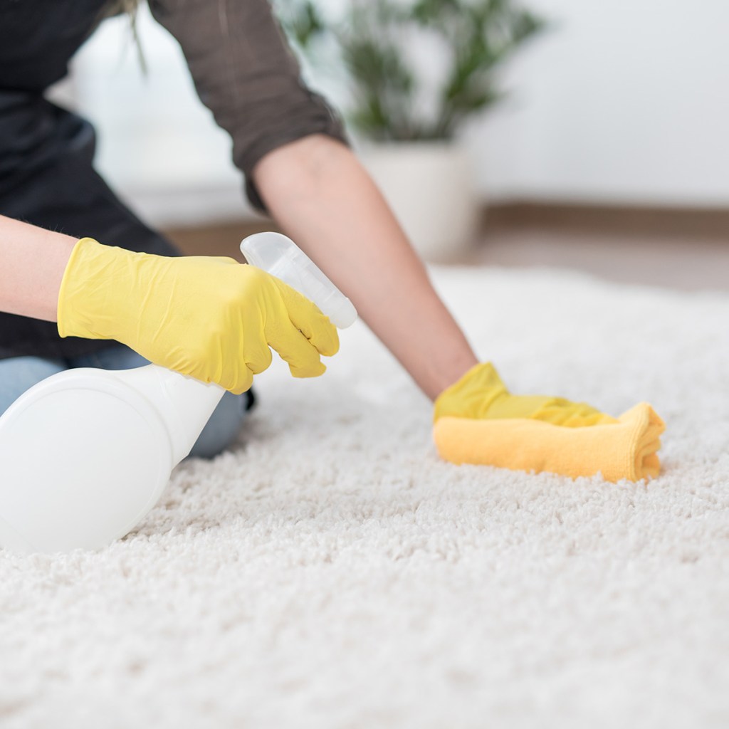 Carpet cleaning spray on stained carpet