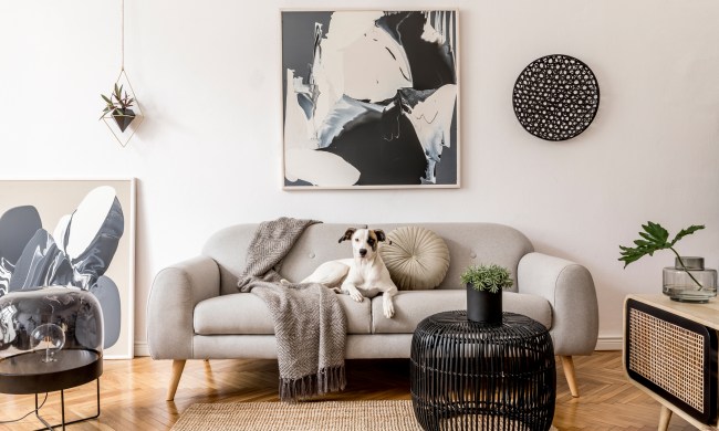 Interior design of living room of Scandinavian apartment with stylish furnitures and elegant accessories