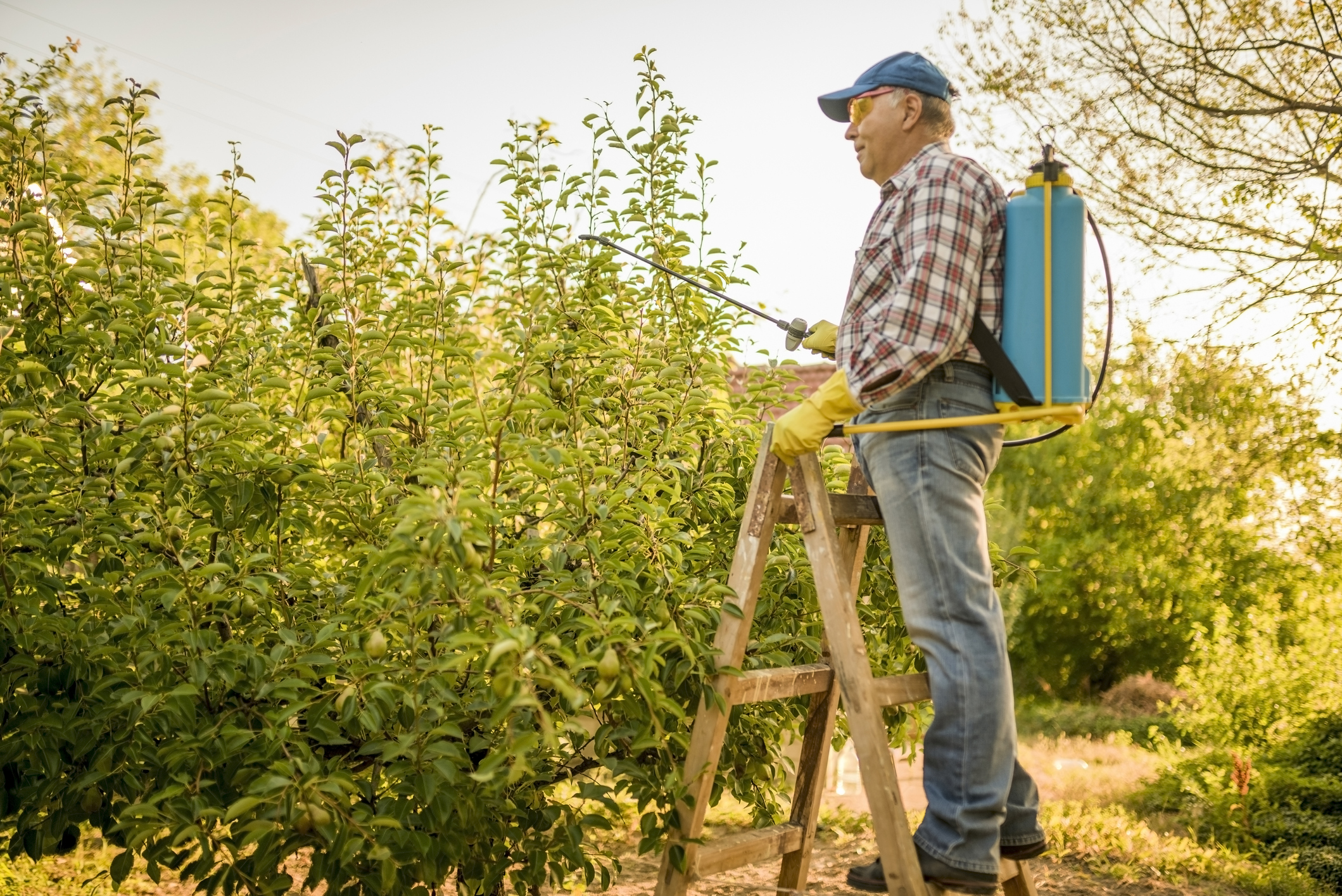 The best backpack sprayers for your gardening needs 21Oak
