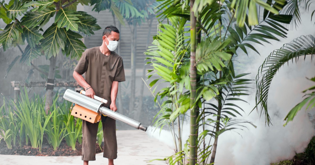 The best foggers for eliminating pests in your home 21Oak
