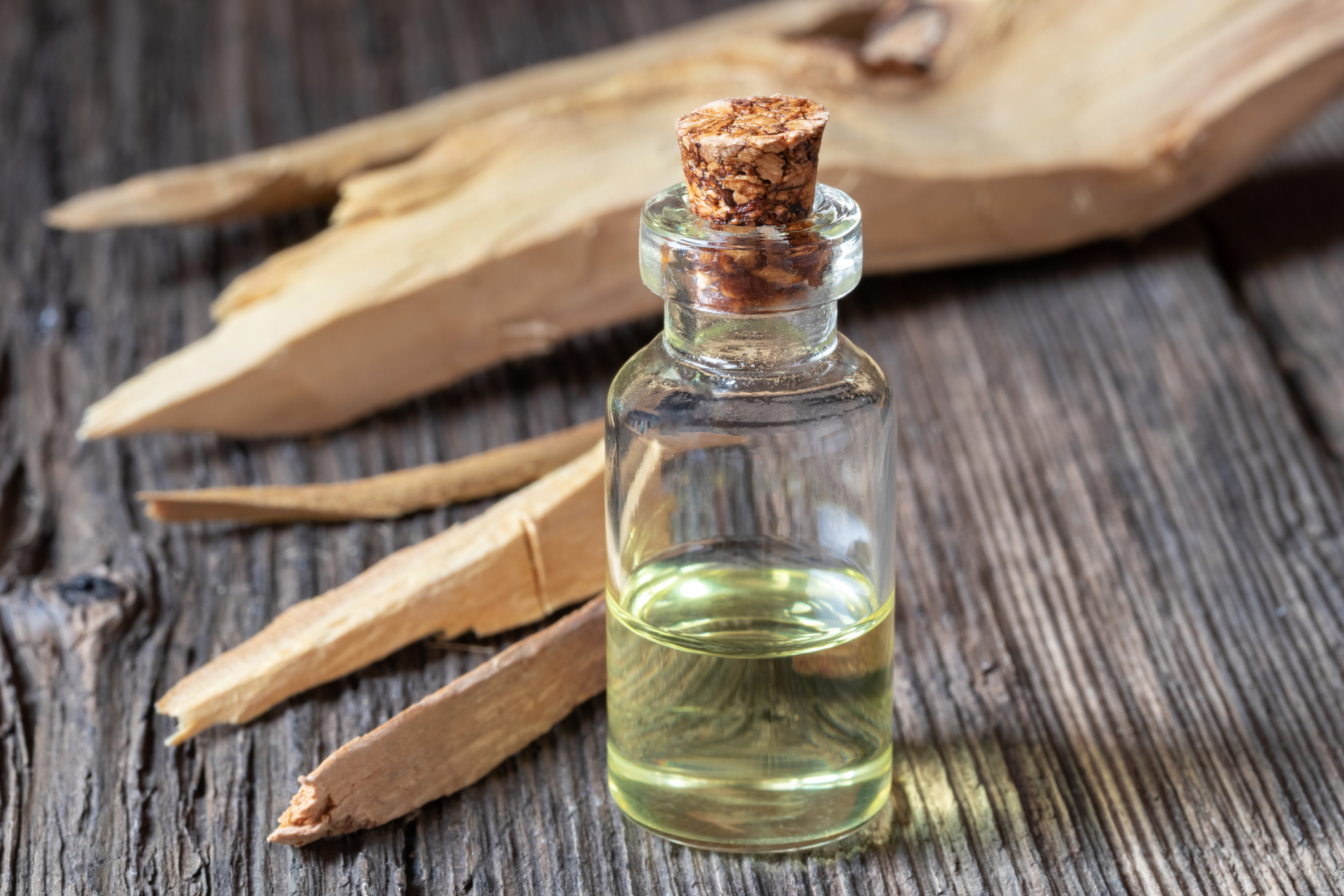 sandalwood essential oil