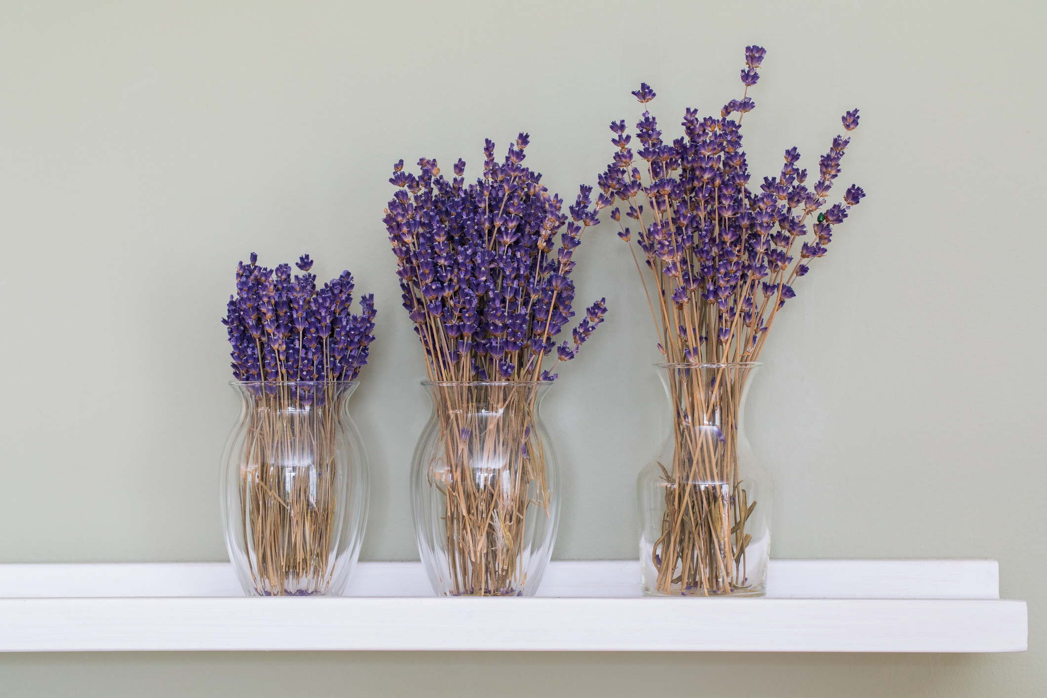 Lavendar bouquets in vases on a shelf