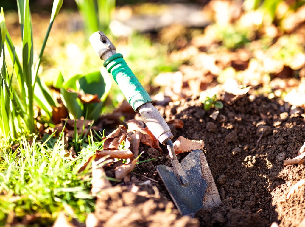 Gardening tool in dirt.