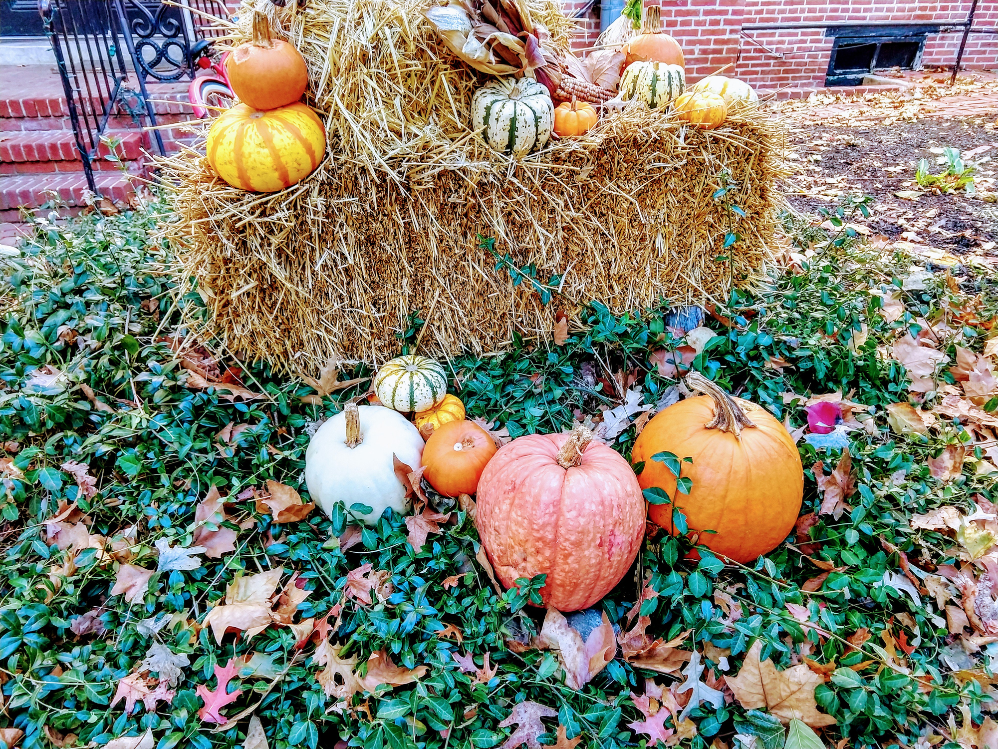 Front yard fall decor